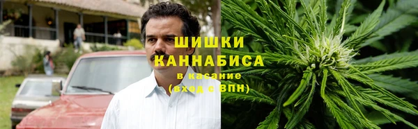 дмт Лиски
