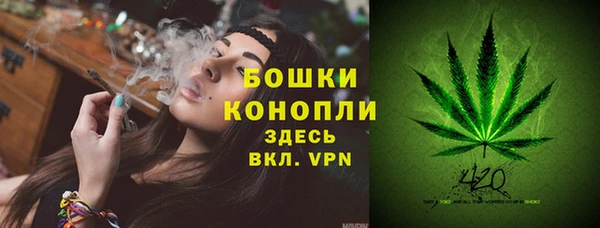 дмт Лиски