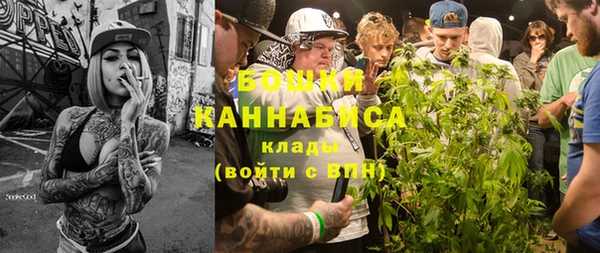дмт Лиски