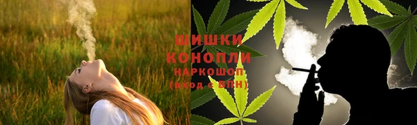 дмт Лиски