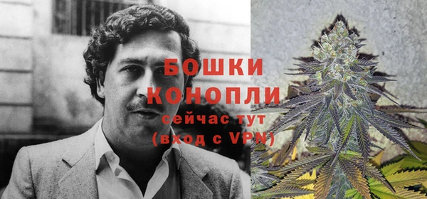 дмт Лиски