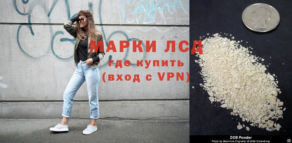 прущие крисы Лабытнанги