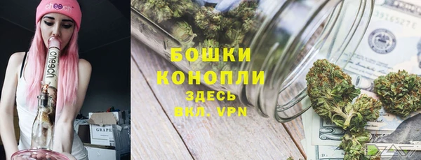 дмт Ладушкин